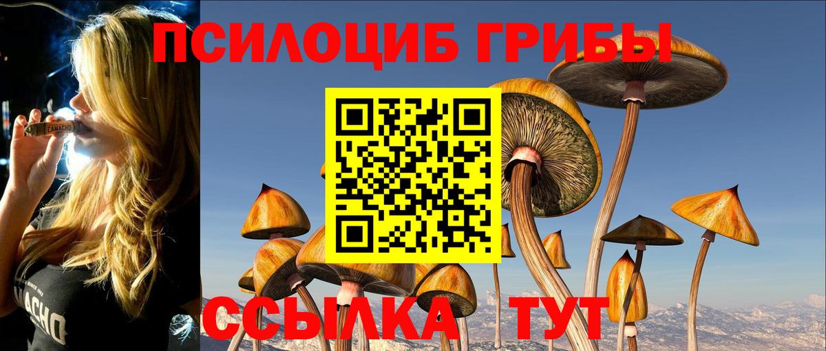 Псилоцибиновые грибы Psilocybe  Вход с VPN  Луховицы 